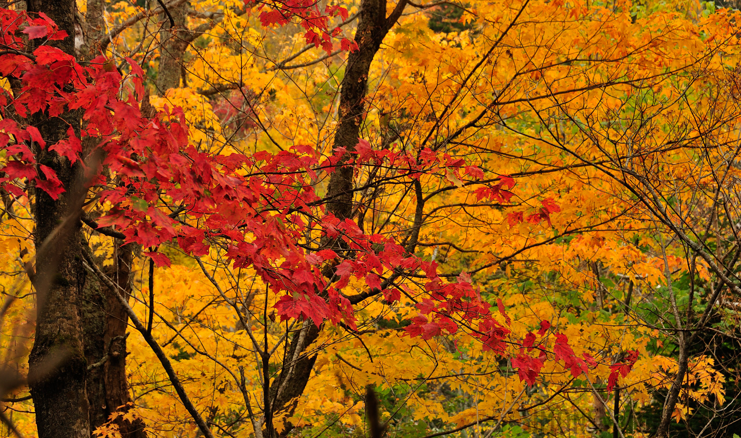 Jericho Mountain State Park [82 mm, 1/125 Sek. bei f / 8.0, ISO 400]